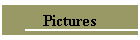 Pictures