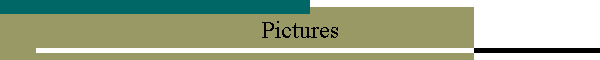 Pictures
